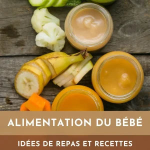 🍽️ eBook – Alimentation du Bébé | Idées de Repas & Recettes
