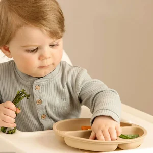 Assiette Bebe Antidérapante Silicone avec Ventouse - 6 Mois+