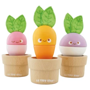 Légumes empilables en bois